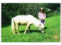 horses
