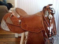 D&G paint horses
