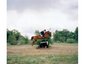 Equines Etc