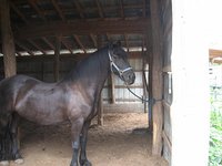 darview farms