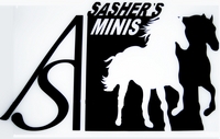 SAshers Miniatures