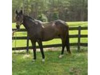 Fox Pointe Farm LLC