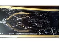 Equestrian Essentials