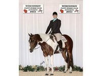 JMZ Performance Horses, LLC