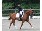 Cindy Canace