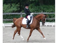 Cindy Canace