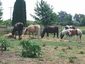 Redirections Farm