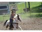 Rocking K Ranch