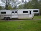 Thornhillstud