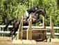 Autumn's Stables