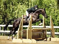 Autumn's Stables