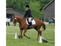 Frontenac Farm