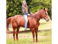 Rancho Bravo