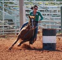 KT Barrel Horses