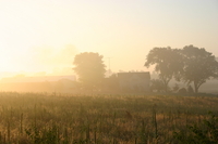 Hunting Field Farm