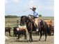 Four T Diamond Ranch