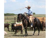 Four T Diamond Ranch