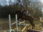 Rain Tree Equestrian Center