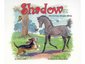 Willow Bend Publishing