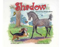Willow Bend Publishing