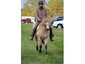 Pangaea Equestrian Services