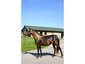Windy Hill Acres