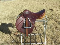 Diamond D Performance Horses