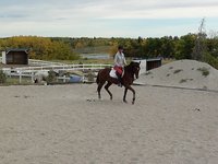 Sandridge Stables