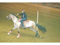 Blackstone Stables