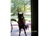 S&R Ranch