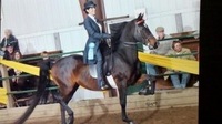 TParker Equestrian