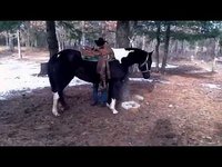 Lazy T Ranch