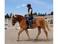 Copper Ridge Ranch