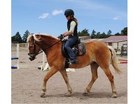 Copper Ridge Ranch