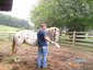 Hickory Leaf Farms