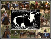 Domino Effect Rescue Ranch