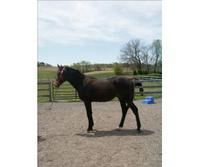 Riverstone Farm