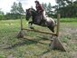 Edgewood Stables