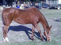 Legend Ranch