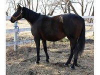 1MT Ranch