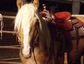 J Bar S Performance Horses