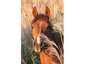 Rodden Equine Training Services