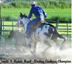 Flying P Paints and QH's