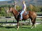 Mountain View Ranch