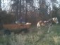 JM Rouse Farms