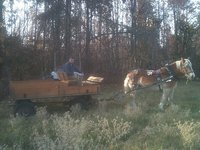 JM Rouse Farms