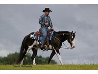 MJ Painted Ranch