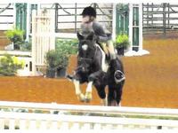 Stewart Stables