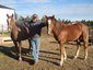 Canadian Hay Ranch