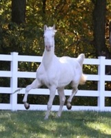 Imani Farms
